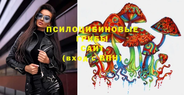 дурь Семилуки