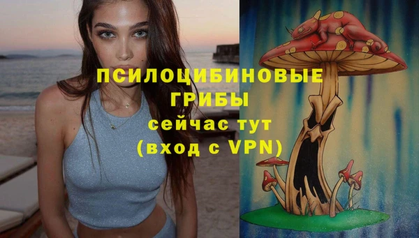 стафф Верхний Тагил